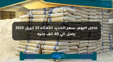 عاجل اليوم: سعر الحديد الثلاثاء 22 أبريل 2025 يصل إلى 40 ألف جنيه